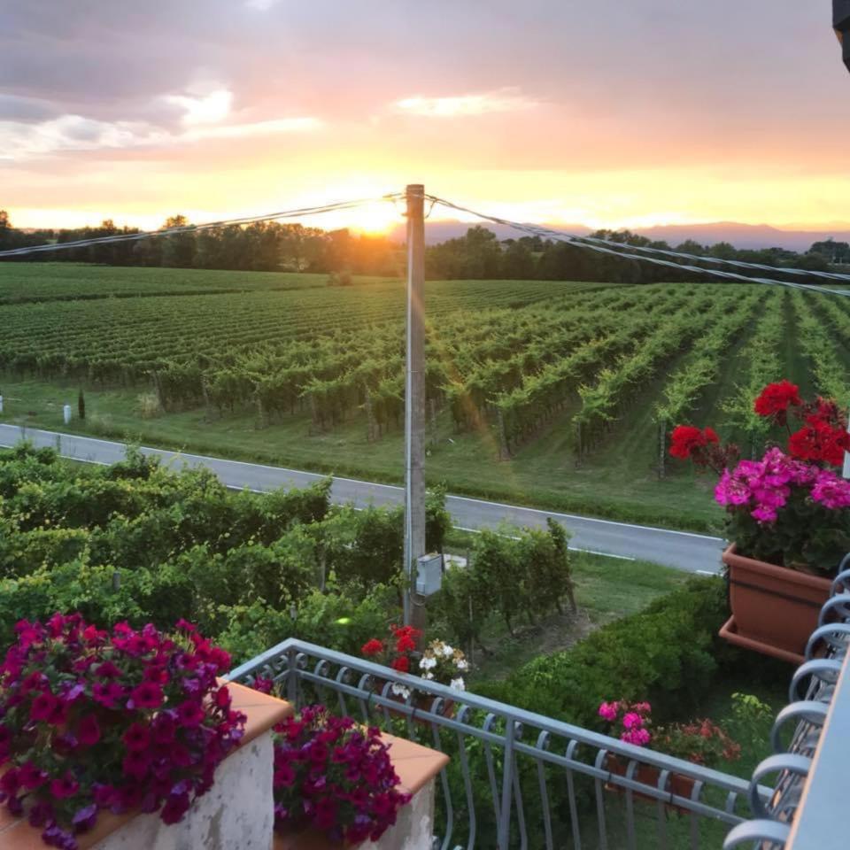 Casa Luigi - Appartamenti A Peschiera Del Garda Kültér fotó